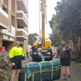 Removals Team - Cane Loading of furniture items - Melbourne Local Moves