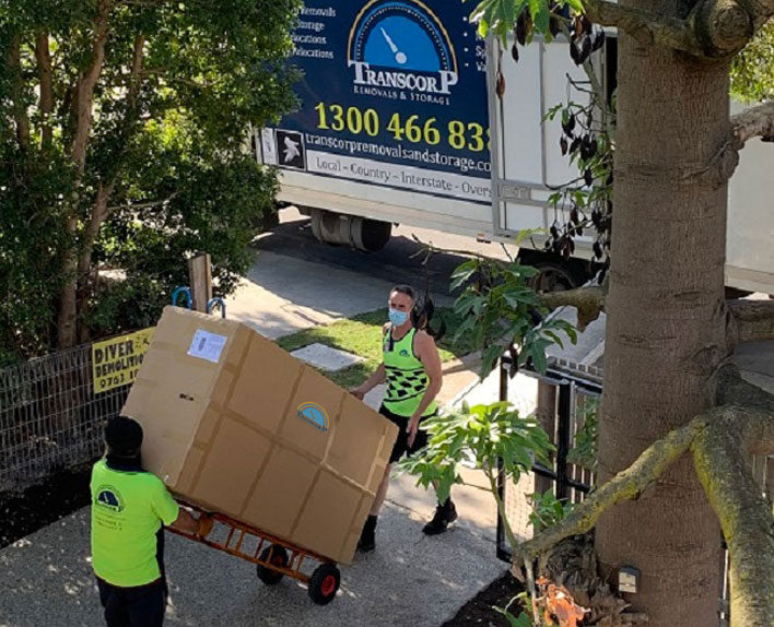 Transcorp - Professionals At Your Service